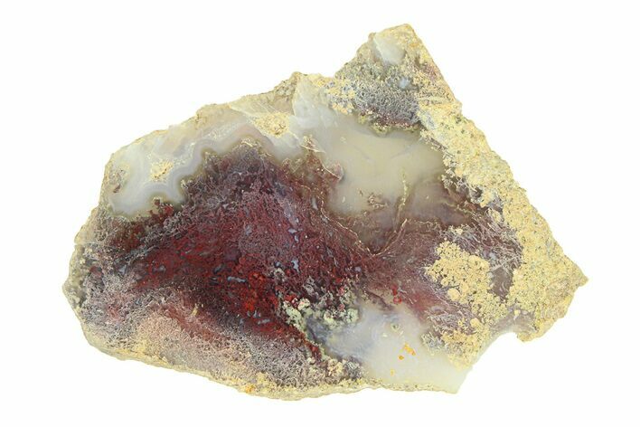 Polished Colorful Moss Agate Slab - Java, Indonesia #293367